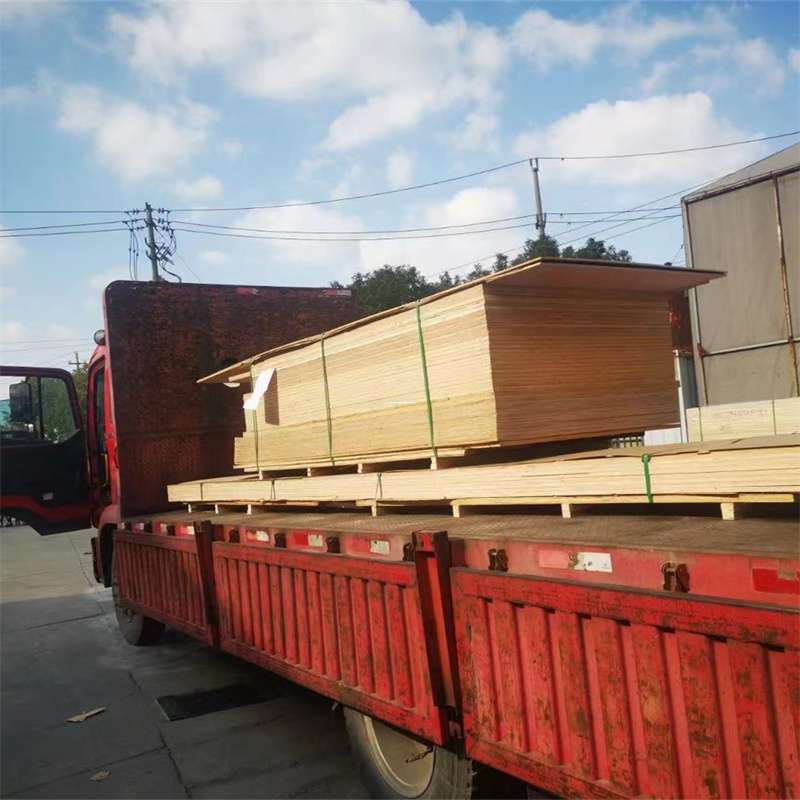 福建厦门翔安至塔城货运专线，一站式物流服务助您成功